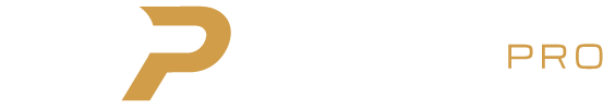 Disparti Pro Logo